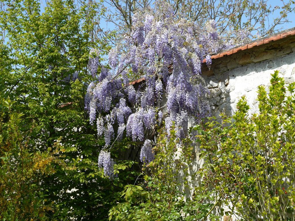 Gites De La Grande Ferme Avernes Номер фото